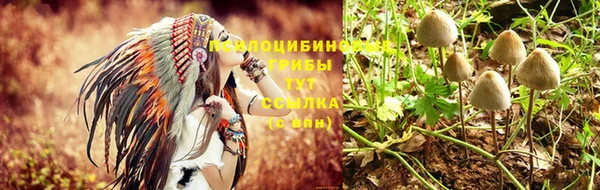 дурь Абаза