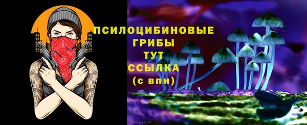 дурь Абаза