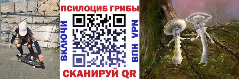 сколько стоит  Когалым  Галлюциногенные грибы прущие грибы 